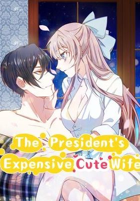 The President’s Expensive, Cute Wife